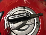 QJMOTOR 800 SRK RR 