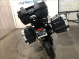 TRIUMPH 900 TIGER RALLY