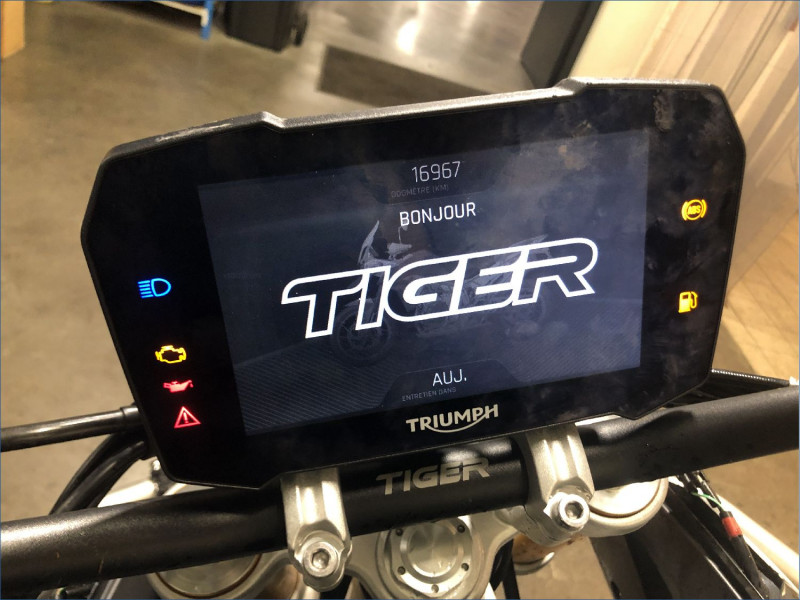 TRIUMPH 900 TIGER RALLY