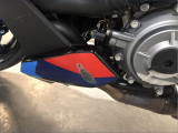 BMW M1000R 
