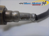 SONDE LAMBDA HARLEY-DAVIDSON 1250 PAN AMERICA 2021