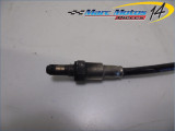 SONDE LAMBDA YAMAHA FZ8 N 2011