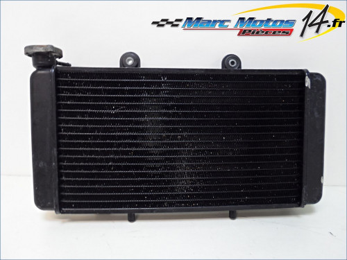 RADIATEUR D&#039;EAU APRILIA 650 PEGASO 1998