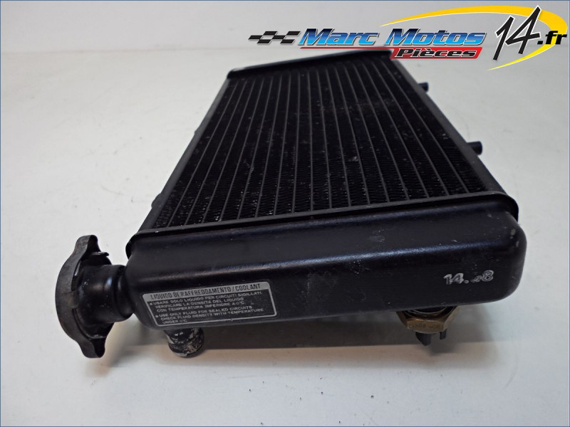 RADIATEUR D'EAU APRILIA 650 PEGASO 1998