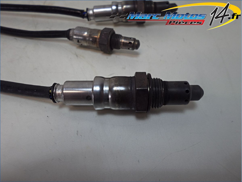 SONDE LAMBDA BMW R1250RT 2020