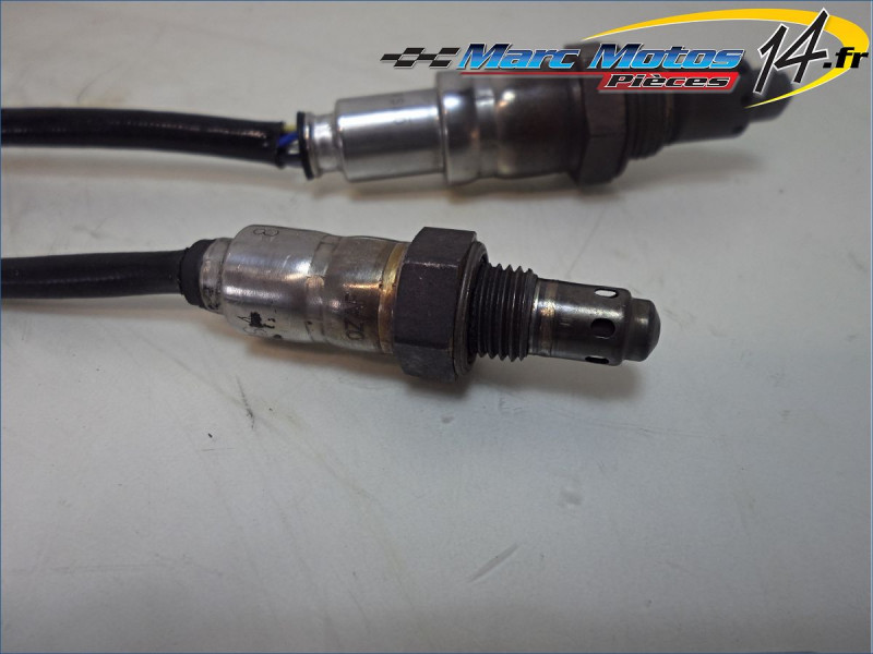 SONDE LAMBDA BMW R1250RT 2020