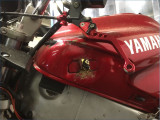 YAMAHA 850 TDM 