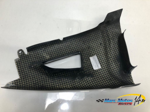 PROTECTION DE BRAS OSCILLANT KAWASAKI ZX10R 2012