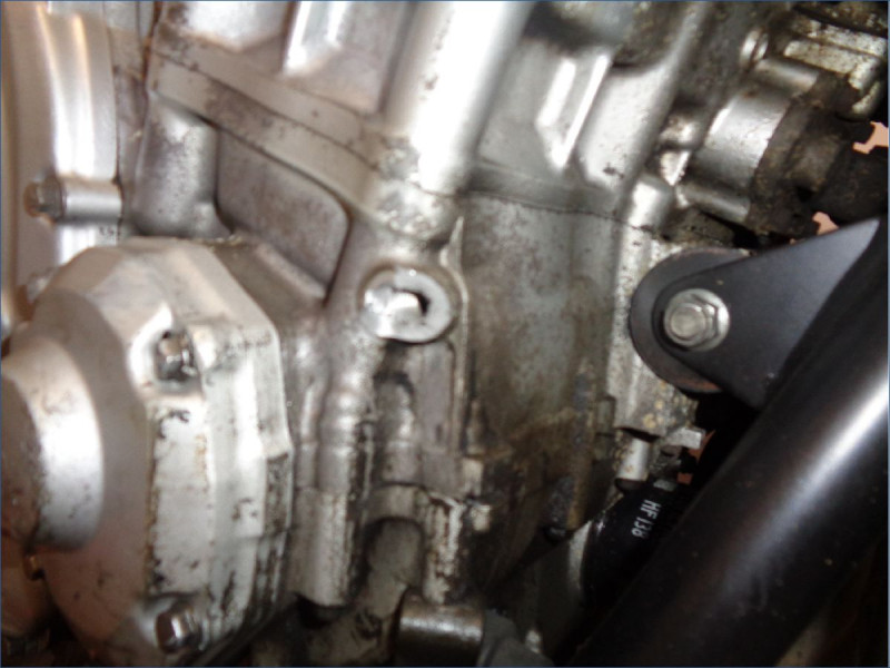 SUZUKI 650 BANDIT N