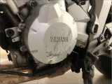 YAMAHA FZ6 N