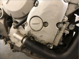 YAMAHA FZ6 N