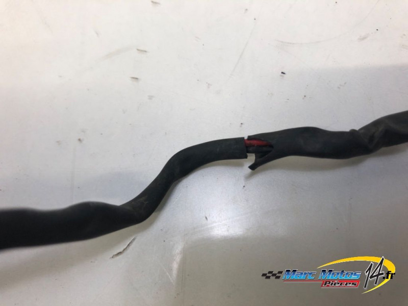 ECLAIRAGE DE PLAQUE KTM 125 DUKE ABS 2019