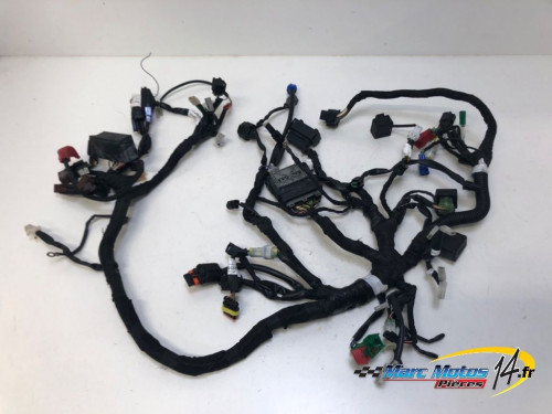 FAISCEAU KTM 125 DUKE ABS 2019