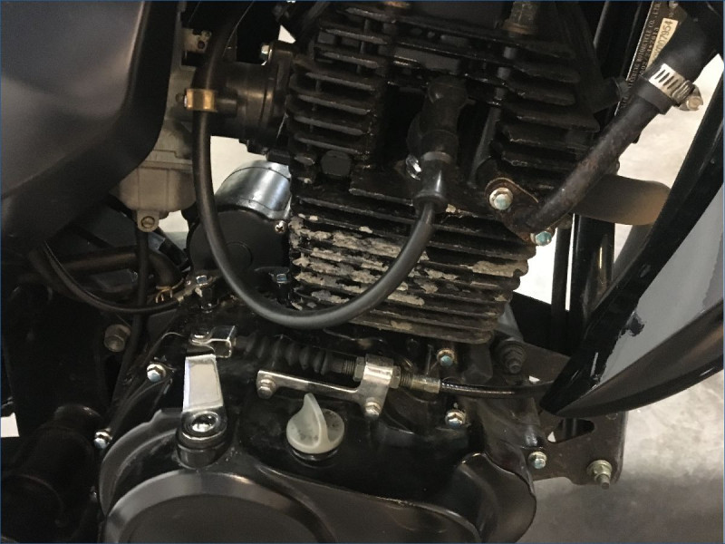 SYM 125 WOLF 