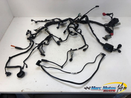 FAISCEAU HONDA CBR650R ABS 2021