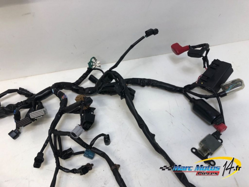 FAISCEAU HONDA CBR650R ABS 2021