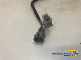 STATOR YAMAHA 125 TW 2002