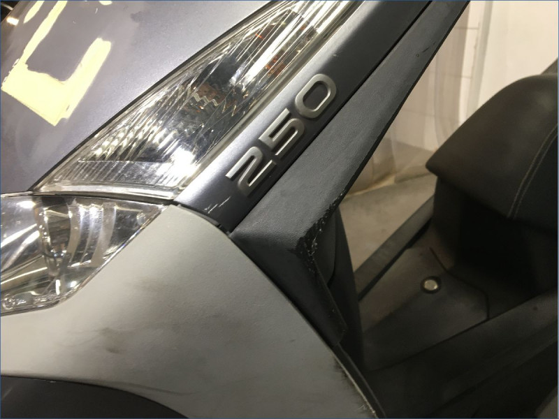 PEUGEOT 250 GEOPOLIS 