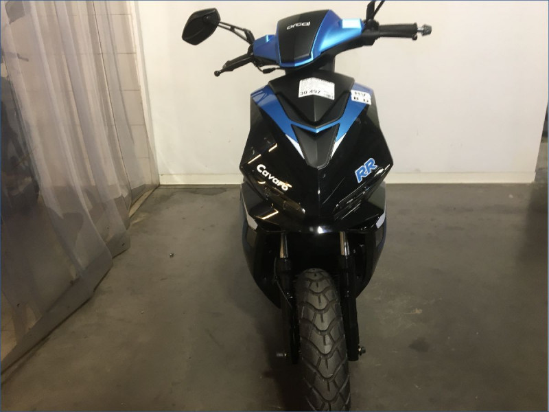 ORCAL 50 CAVARO 