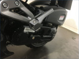 ORCAL 50 CAVARO 