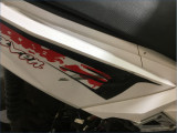 IMF 50 RAVEN 