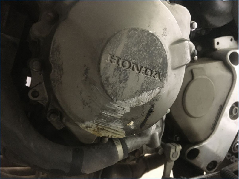 HONDA 600 HORNET S