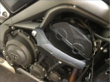 TRIUMPH 765 STREET TRIPLE R