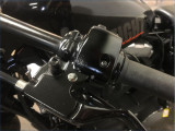 HARLEY-DAVIDSON 1200 XLX FORTY EIGHT 