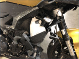 BMW F900XR 