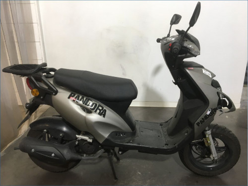 KSR MOTO 50 PANDORA 
