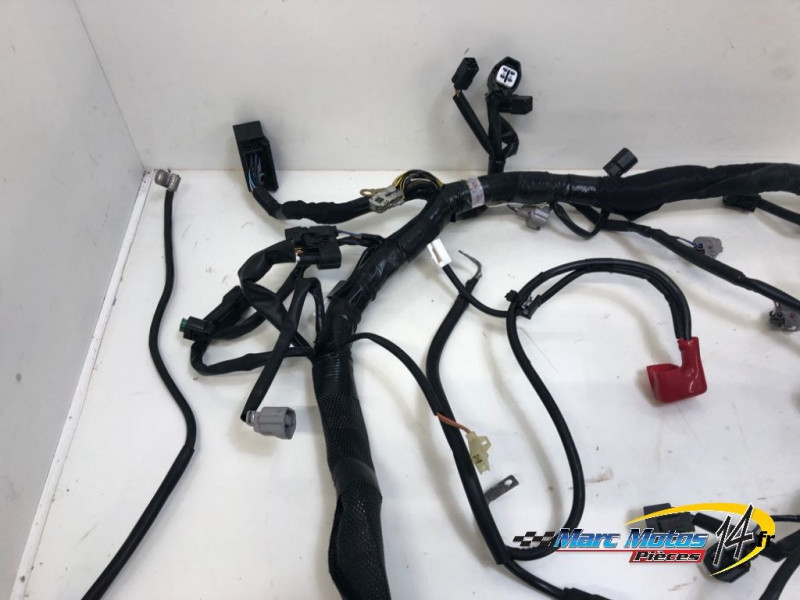 FAISCEAU KAWASAKI ZX6R 636 2019
