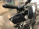 LAZIO 50 RENO 