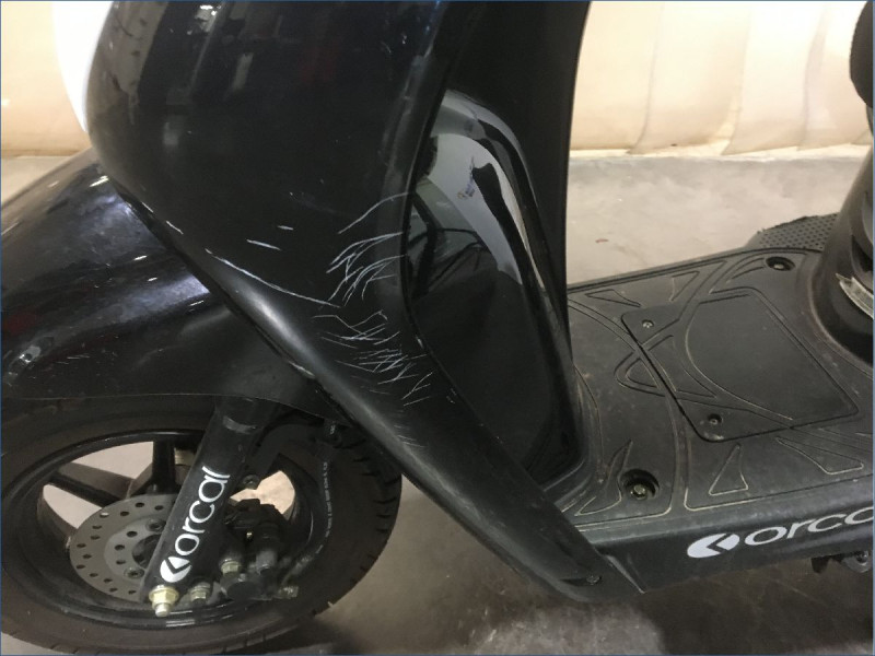 ORCAL 50 KITE 