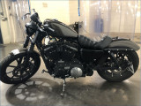 HARLEY-DAVIDSON 883 XLN SPORTSTER 