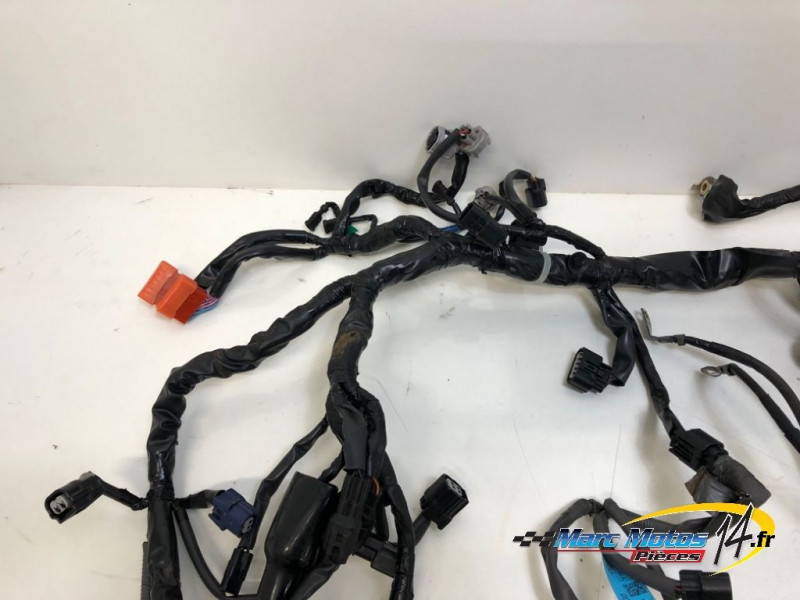 FAISCEAU HONDA CB500F A2 ABS 2021