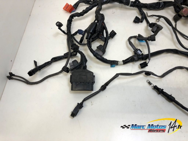 FAISCEAU HONDA CB500F A2 ABS 2021