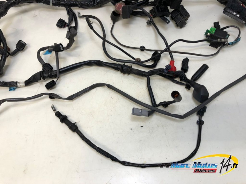 FAISCEAU HONDA CB500F A2 ABS 2021