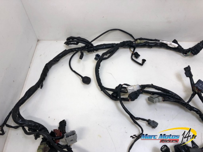 FAISCEAU HONDA 600 CBR F ABS 2011