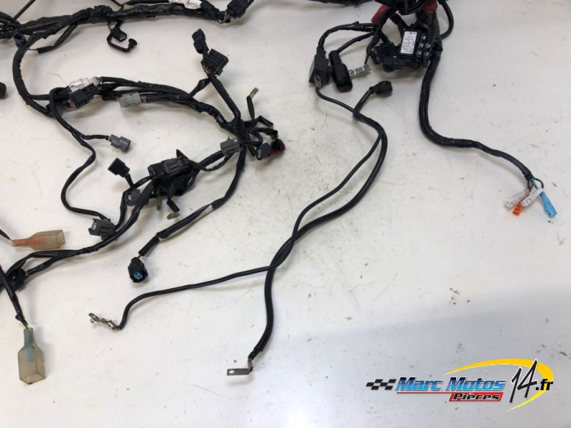 FAISCEAU HONDA 600 CBR F ABS 2011