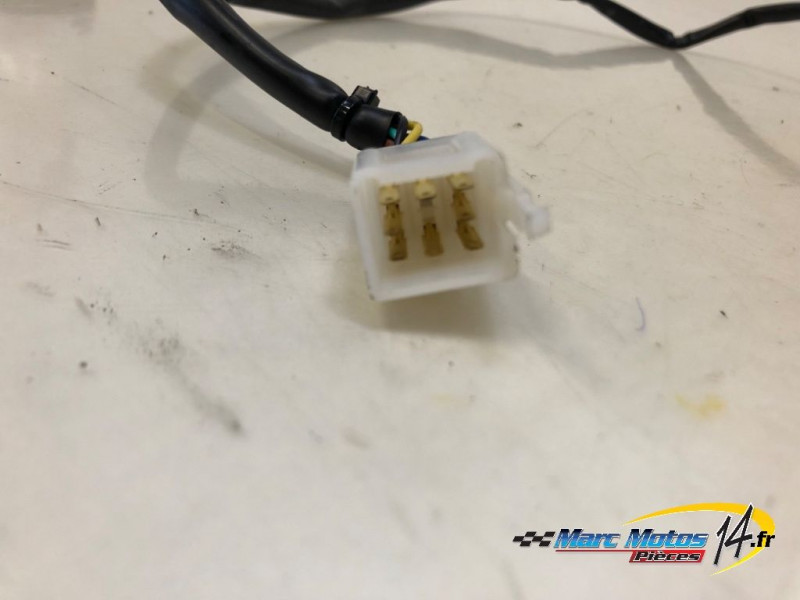 COMMODO GAUCHE RIEJU 50 MRT 2023