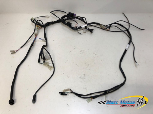 FAISCEAU RIEJU 50 MRT 2023