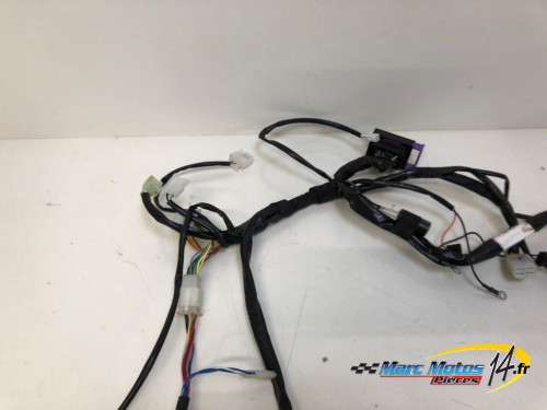 FAISCEAU RIEJU 50 MRT 2023