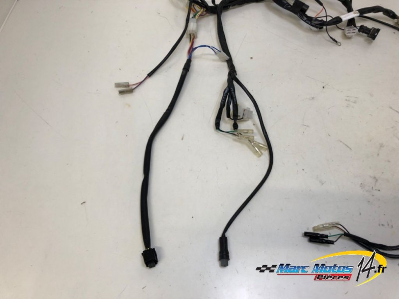 FAISCEAU RIEJU 50 MRT 2023