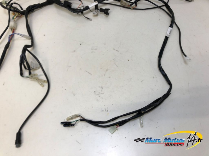 FAISCEAU RIEJU 50 MRT 2023