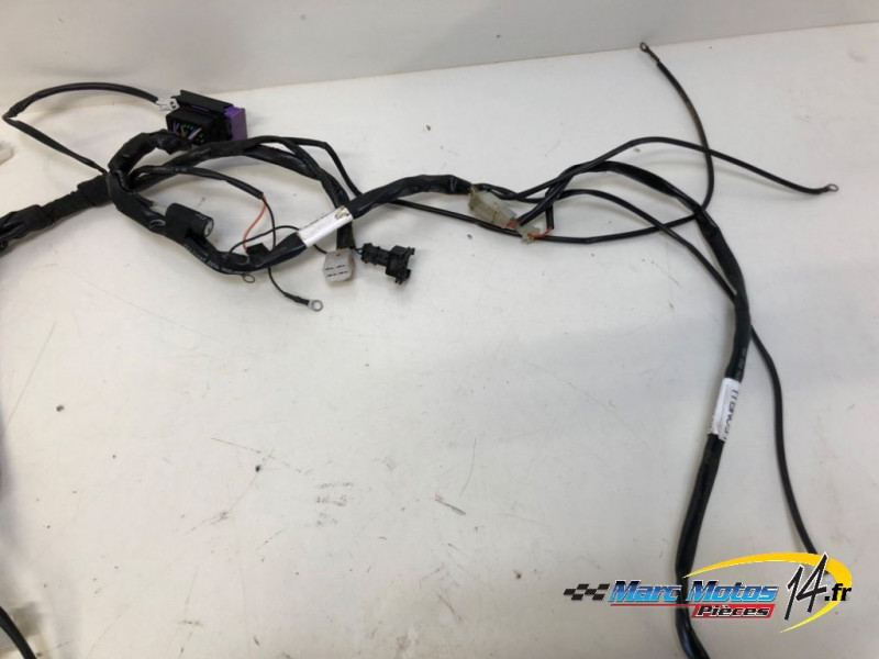 FAISCEAU RIEJU 50 MRT 2023