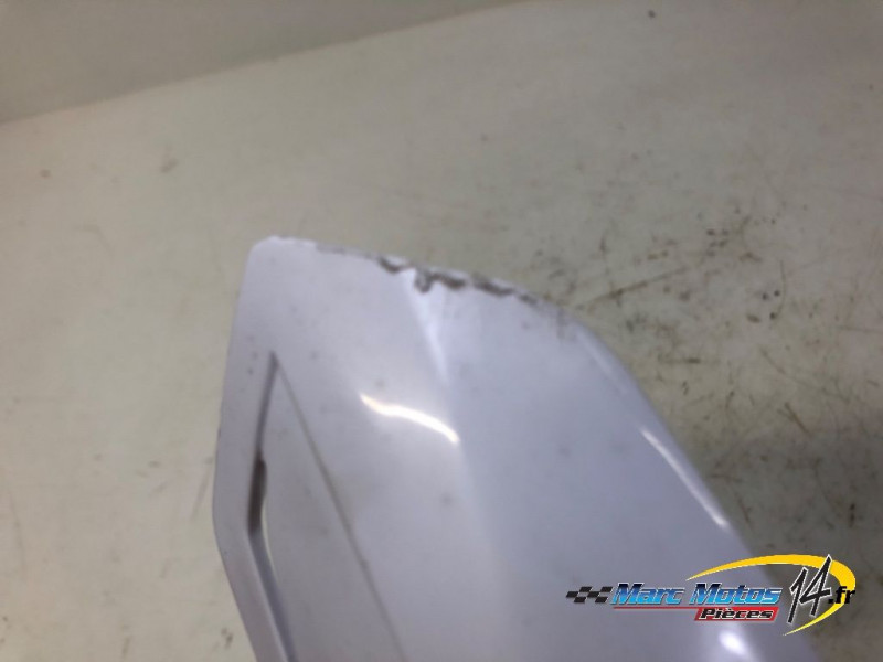 PROTEGE MAIN RIEJU 50 MRT 2023