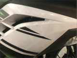 KAWASAKI 300 NINJA 