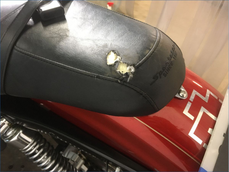 HARLEY-DAVIDSON 1200 XLC SPORTSTER 