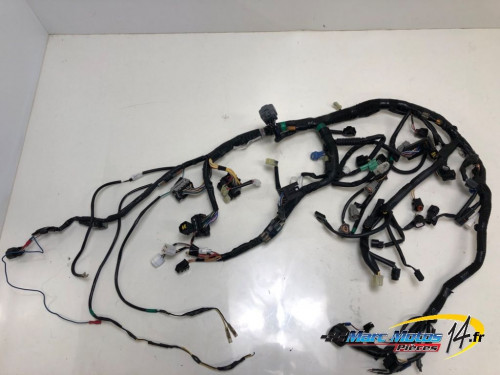 FAISCEAU SUZUKI 750 GSX-S 2019