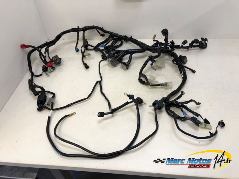 FAISCEAU KAWASAKI Z900 A2 2023